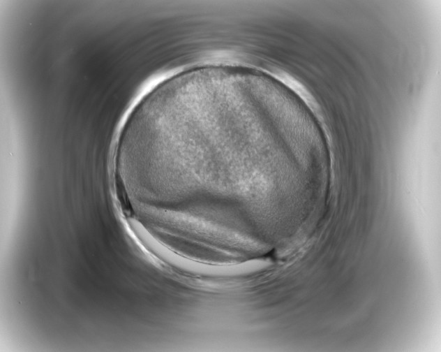 X0000084561392200703161656