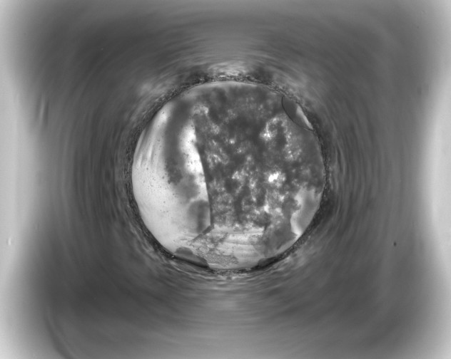 X0000084561393200703161656