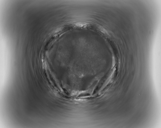 X0000084561394200703161656