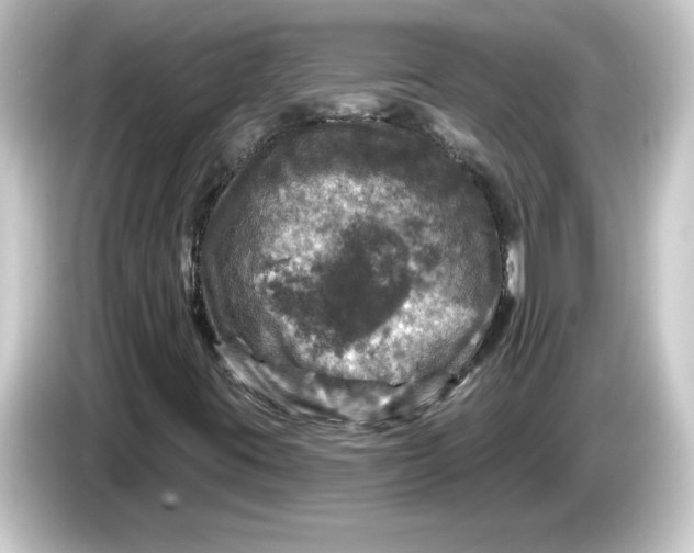 X0000084561395200703161656