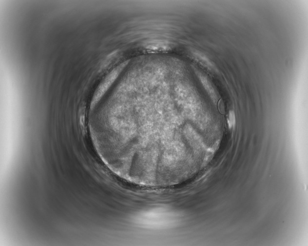 X0000084561396200703161656