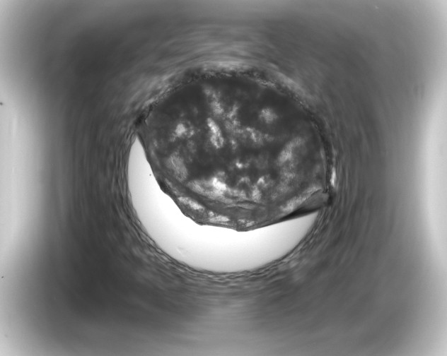 X0000084561397200703161656