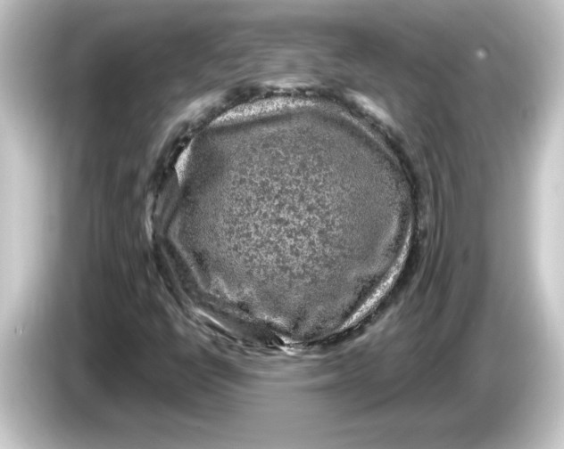 X0000084561398200703161656