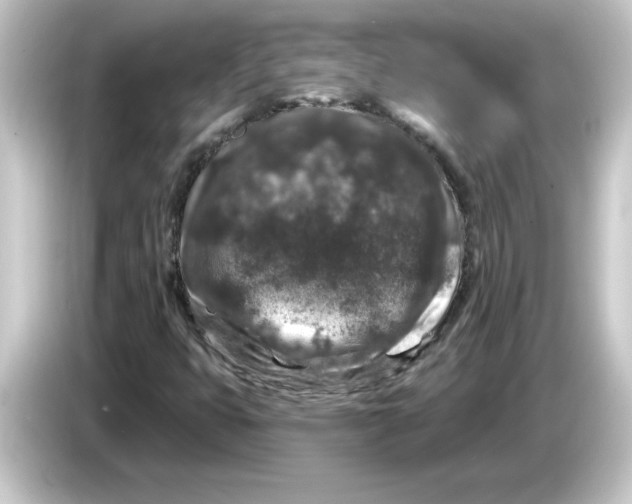 X0000084561399200703161656