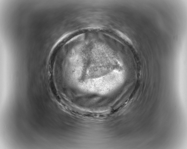 X0000084561400200703161656