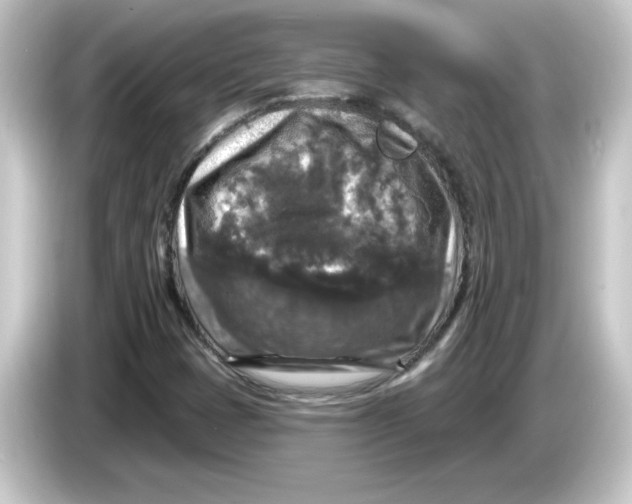 X0000084561401200703161656