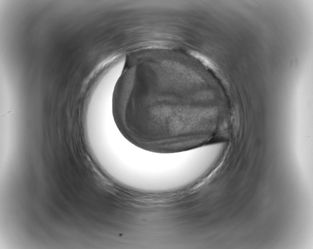 X0000084561402200703161656