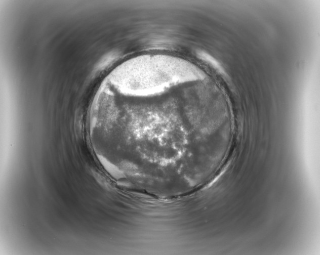 X0000084561403200703161656