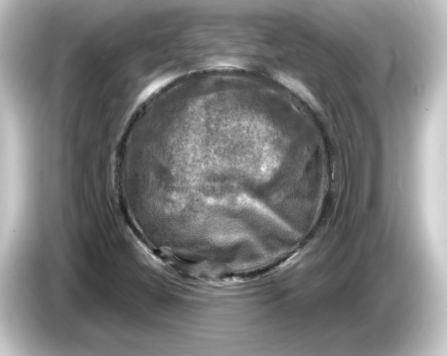 X0000084561404200703161656