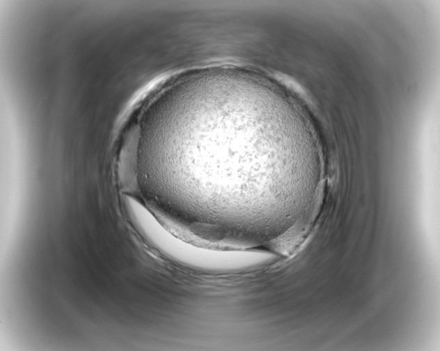 X0000084561406200703161656