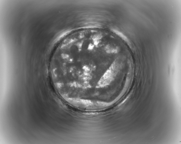 X0000084561407200703161656