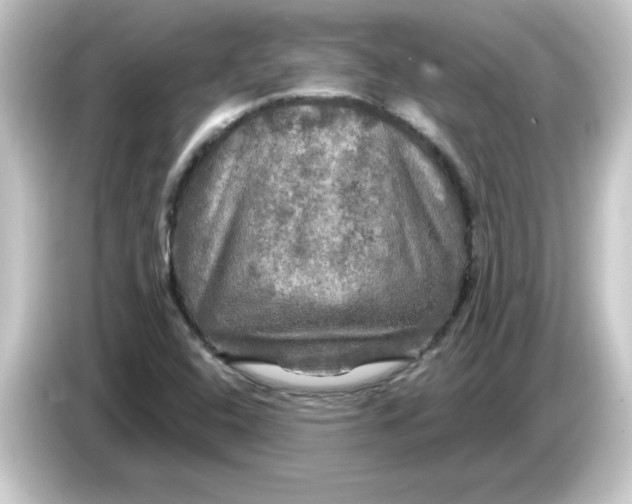 X0000084561408200703161656