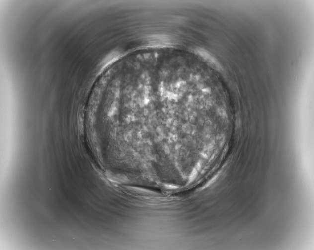 X0000084561409200703161656