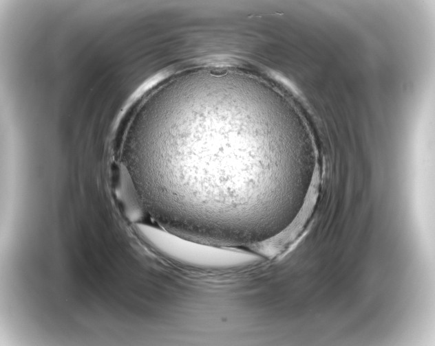 X0000084561410200703161656