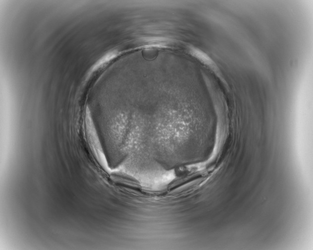 X0000084561411200703161656