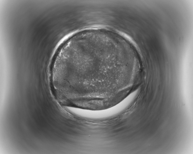 X0000084561412200703161656