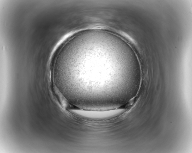 X0000084561414200703161656