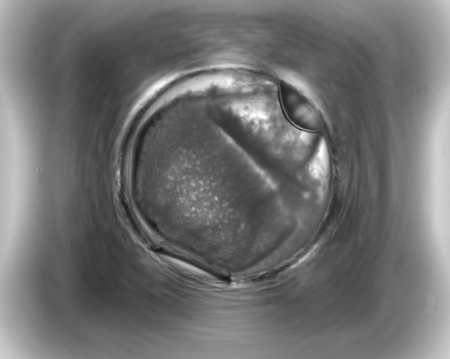 X0000084561415200703161656