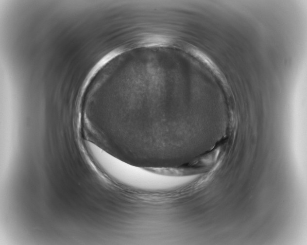 X0000084561418200703161656