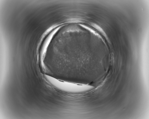 X0000084561419200703161656