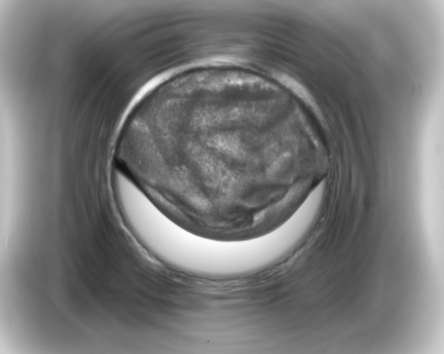 X0000084561420200703161656