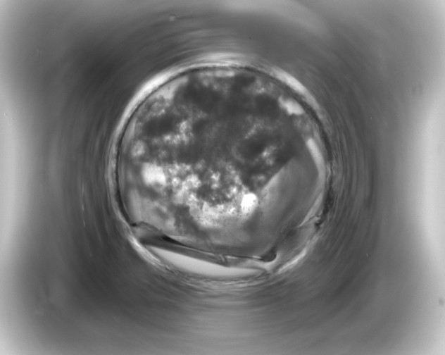 X0000084561421200703161656