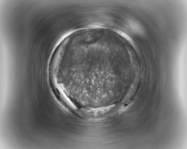 X0000084561423200703161656