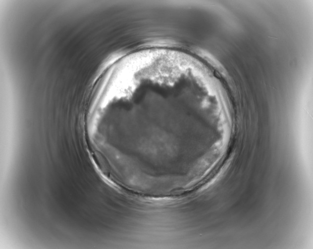 X0000084561425200703161656