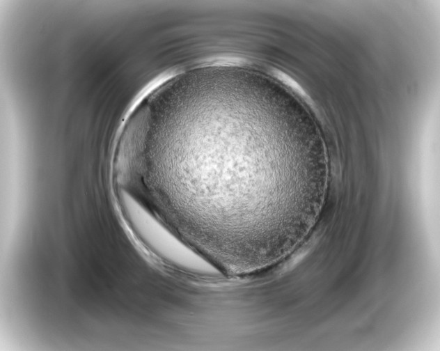 X0000084561426200703161656