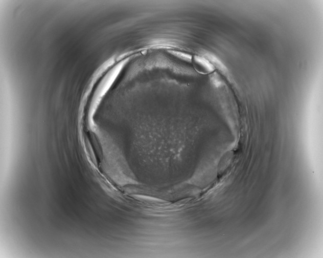 X0000084561427200703161656