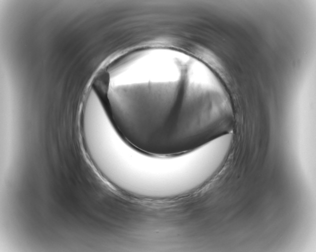 X0000084561428200703161656