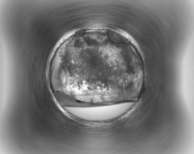 X0000084561429200703161656