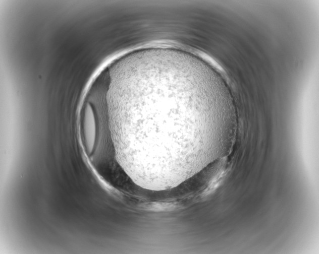 X0000084561430200703161656