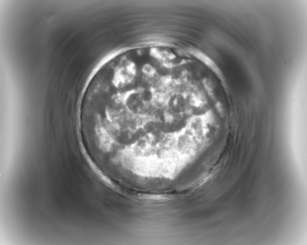 X0000084561431200703161656