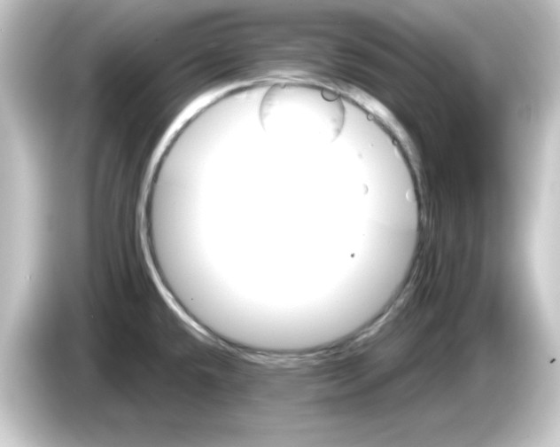 X0000084561432200703161656