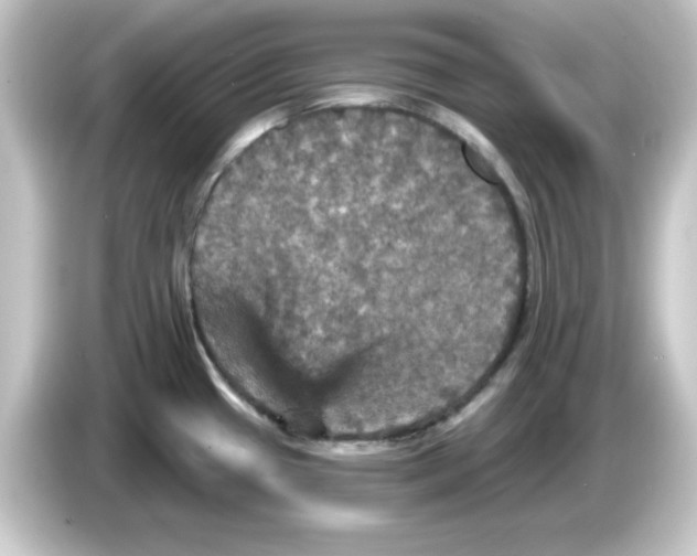 X0000084561433200703161656