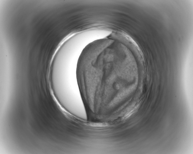 X0000084561434200703161656