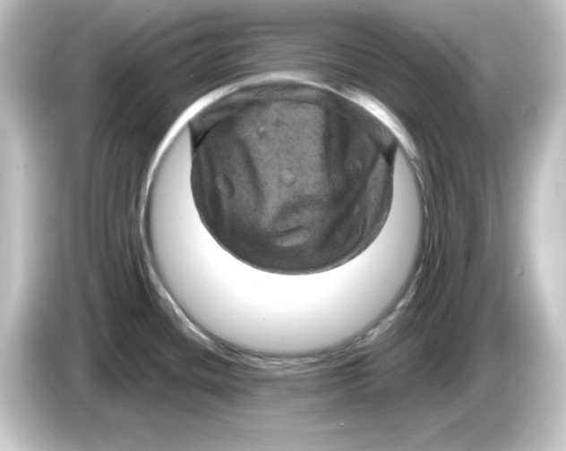 X0000084561436200703161656