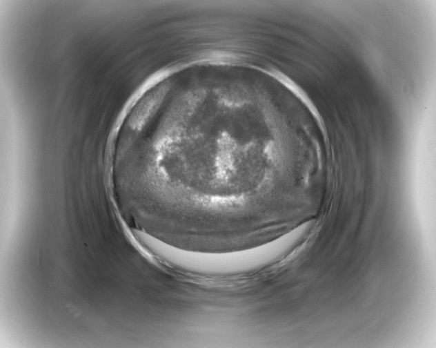 X0000084561437200703161656