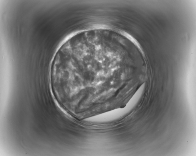 X0000084561439200703161656