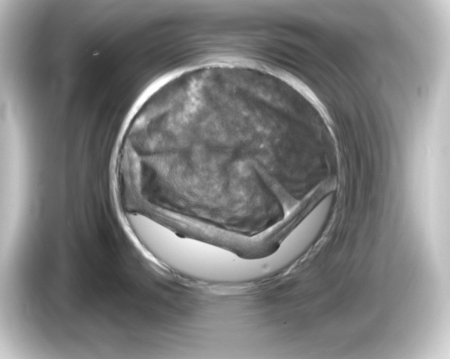 X0000084561440200703161656