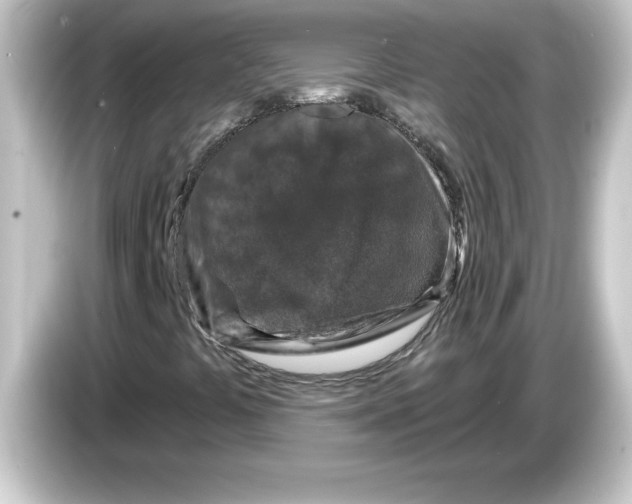 X0000084561441200703161656