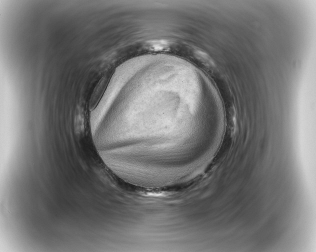 X0000084561442200703161656