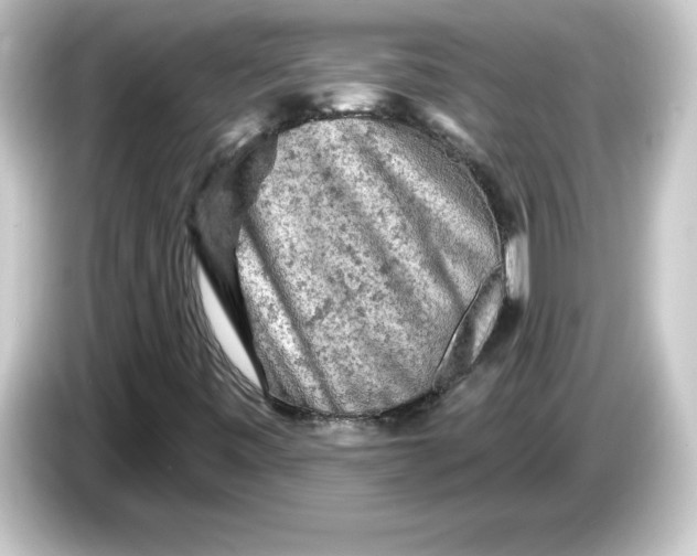 X0000084561443200703161656