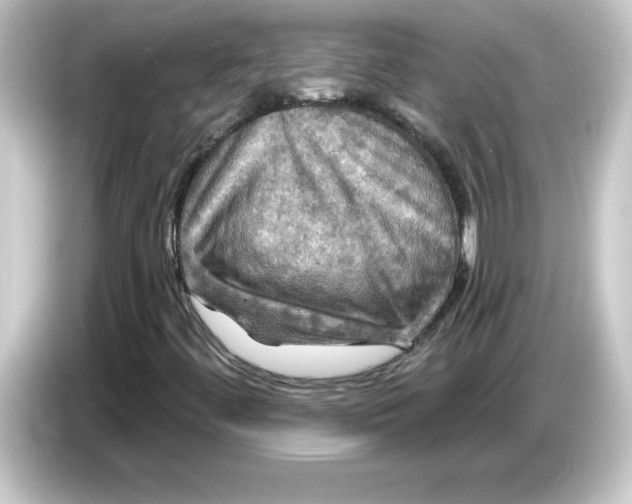 X0000084561444200703161656