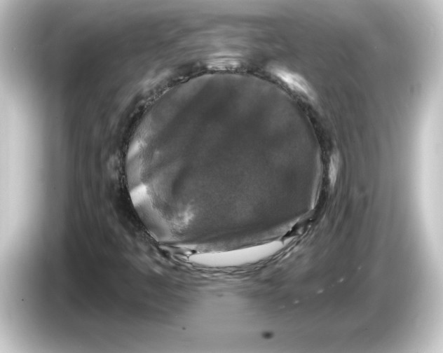 X0000084561445200703161656