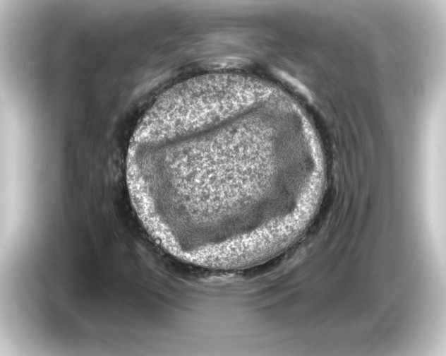 X0000084561447200703161656