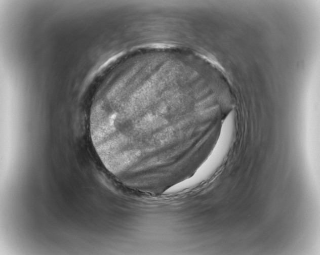 X0000084561448200703161656