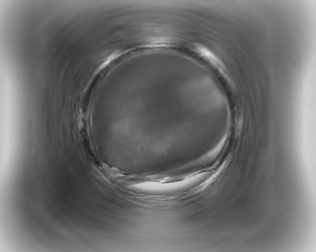 X0000084561449200703161656