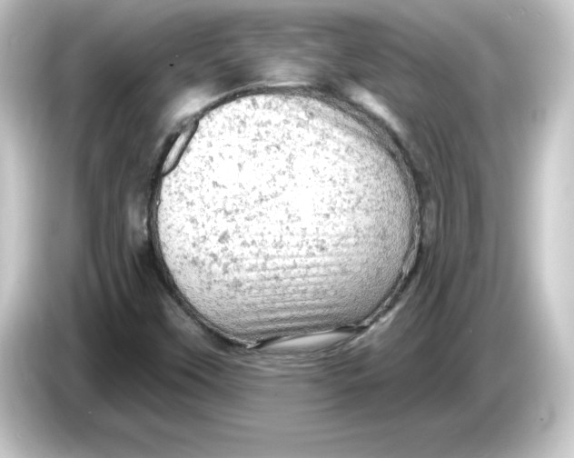 X0000084561451200703161656